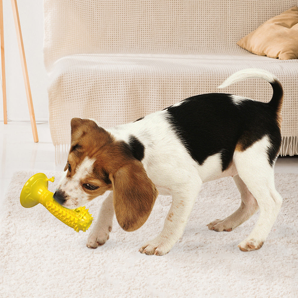 Different Functions Interactive Balls For Dogs Squeaky Dog Balls Toys And Puppy Teething Chew Toy Balls For Small Dogs Dog Balls For Clean Teeth And Training 4Pcs - Bellarte Enchanté Different Functions Interactive Balls For Dogs Squeaky Dog Balls Toys And Puppy Teething Chew Toy Balls For Small Dogs Dog Balls For Clean Teeth And Training 4Pcs